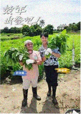 厨房奇遇记 综艺在线观看